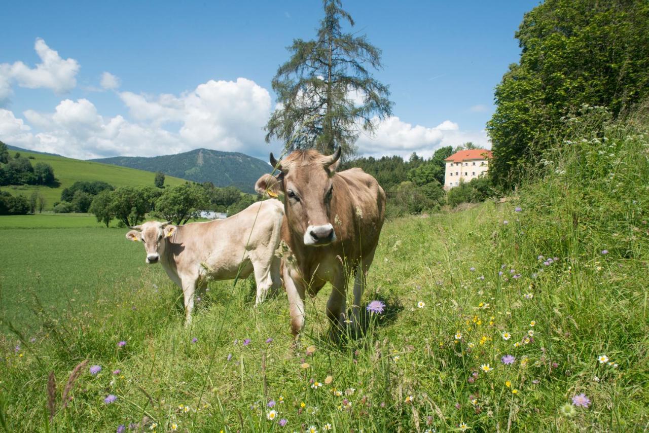 Hotel Landsitz Pichlschloss Neumarkt in Steiermark エクステリア 写真