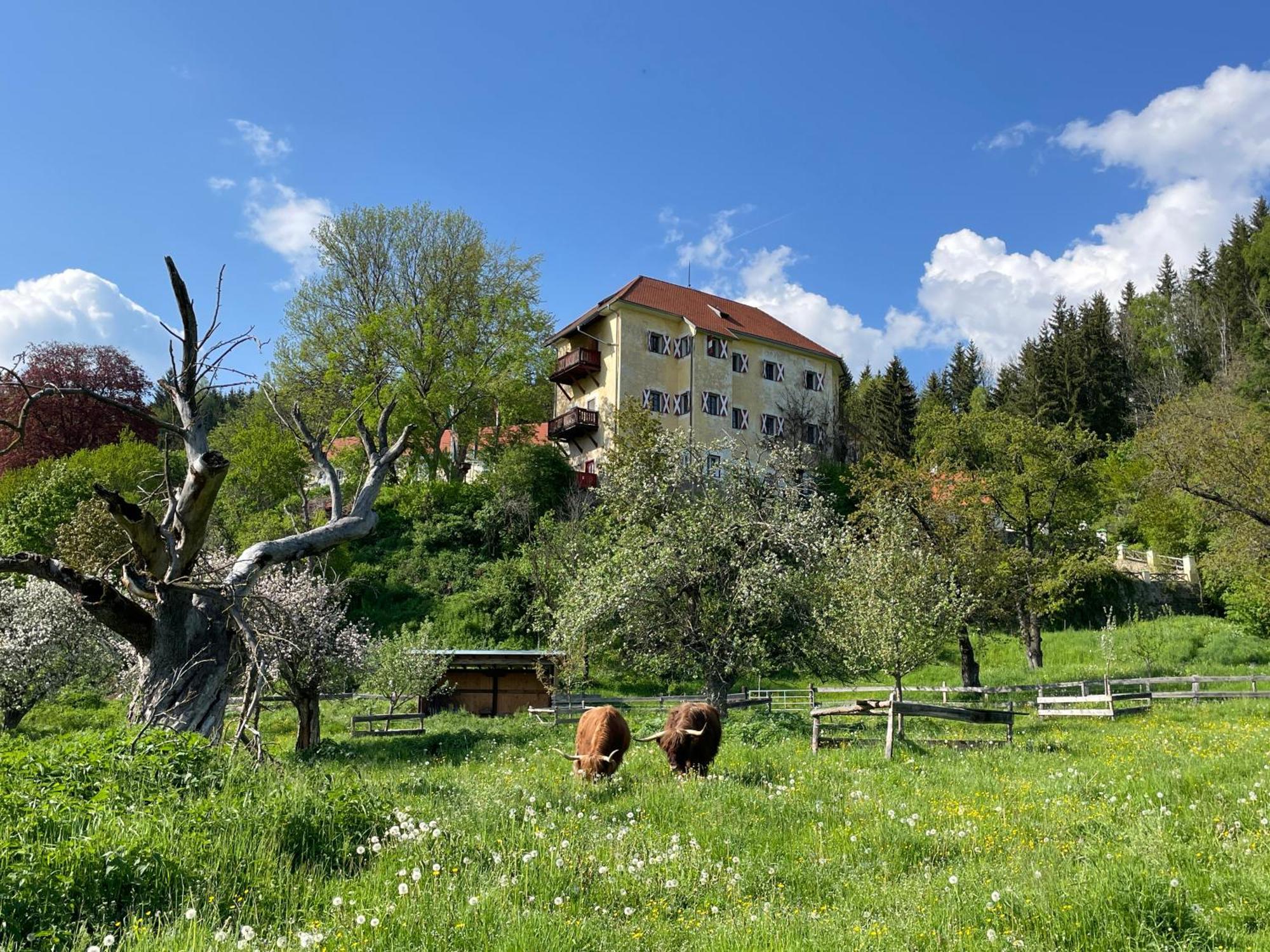 Hotel Landsitz Pichlschloss Neumarkt in Steiermark エクステリア 写真